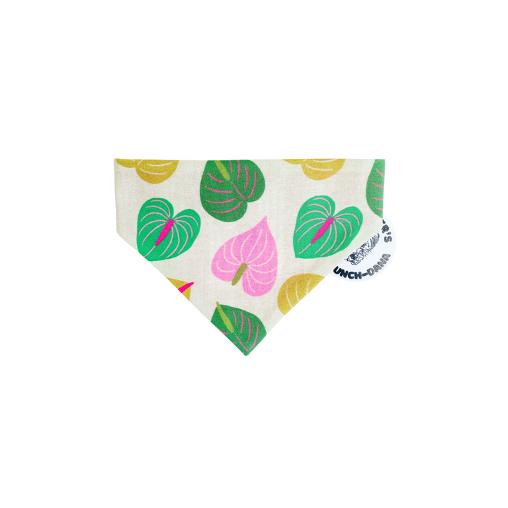 Bandana - Anthurium