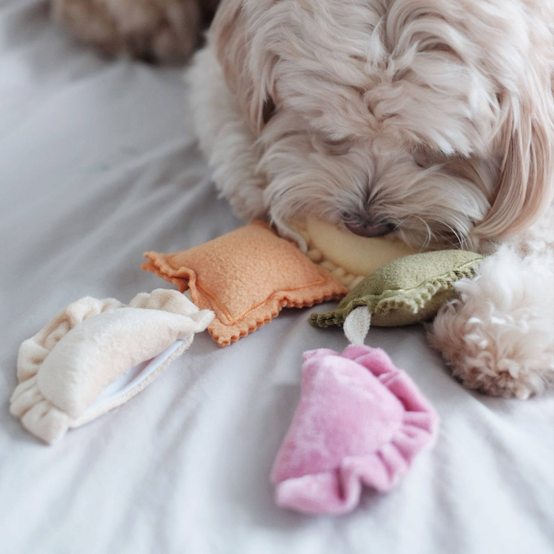 Ravioli Nosework Enrichment Toy | Squeaker | Crinkle
