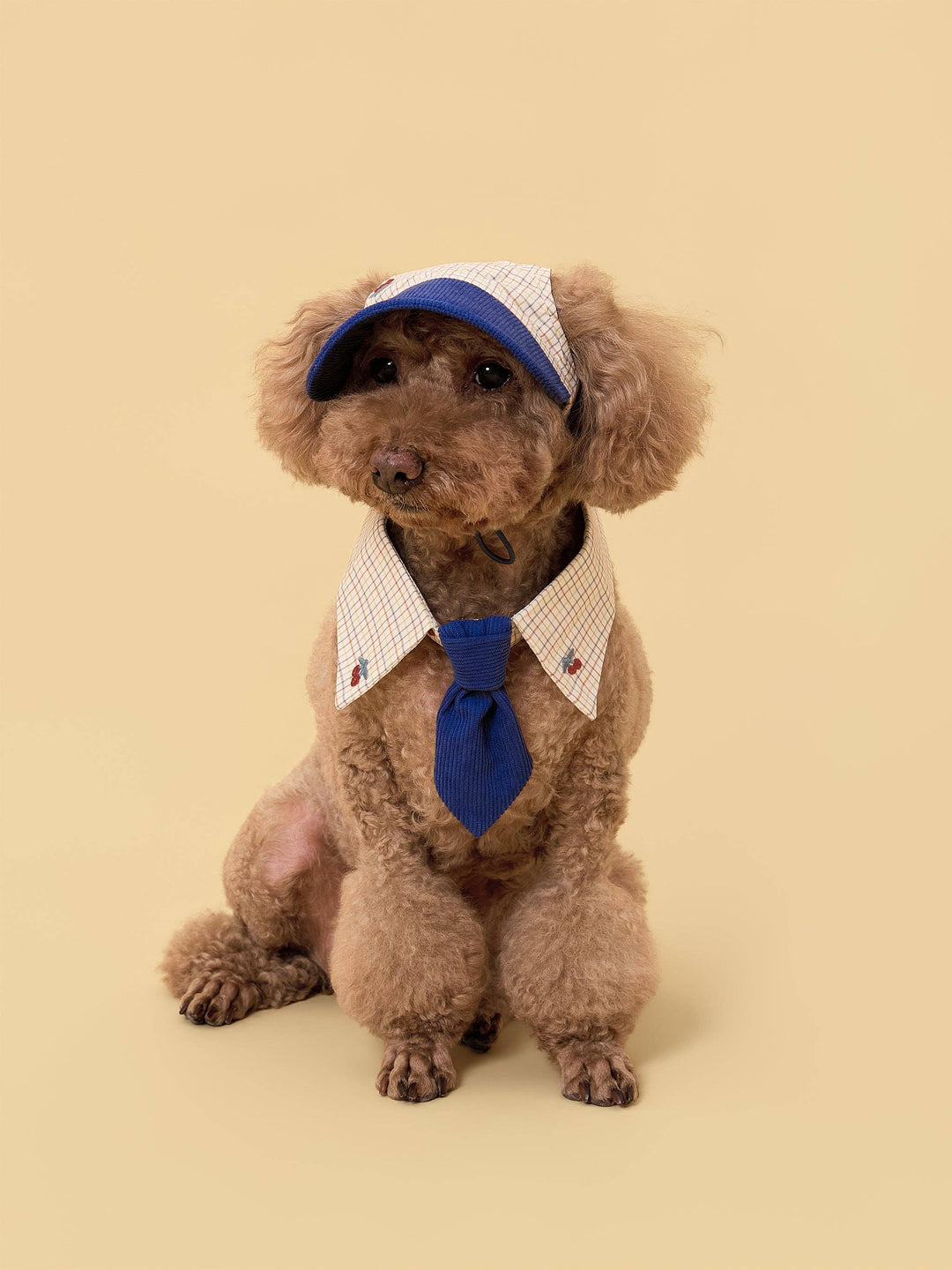 Sunny Days Blue Checkered Dog Cap