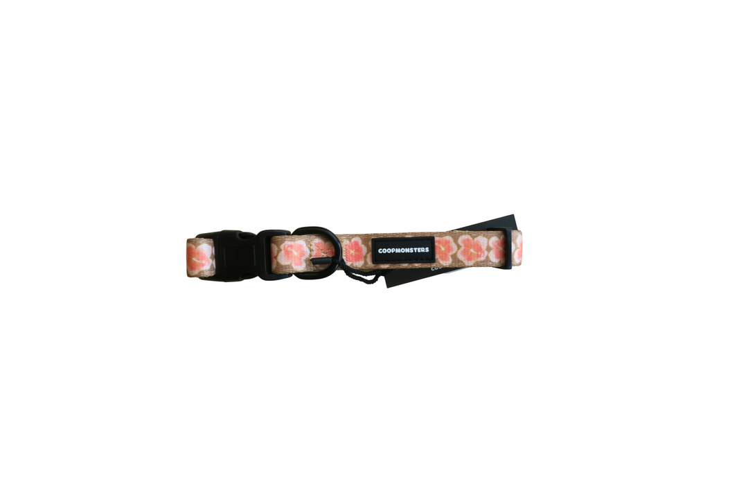 Collar - Hibiscus