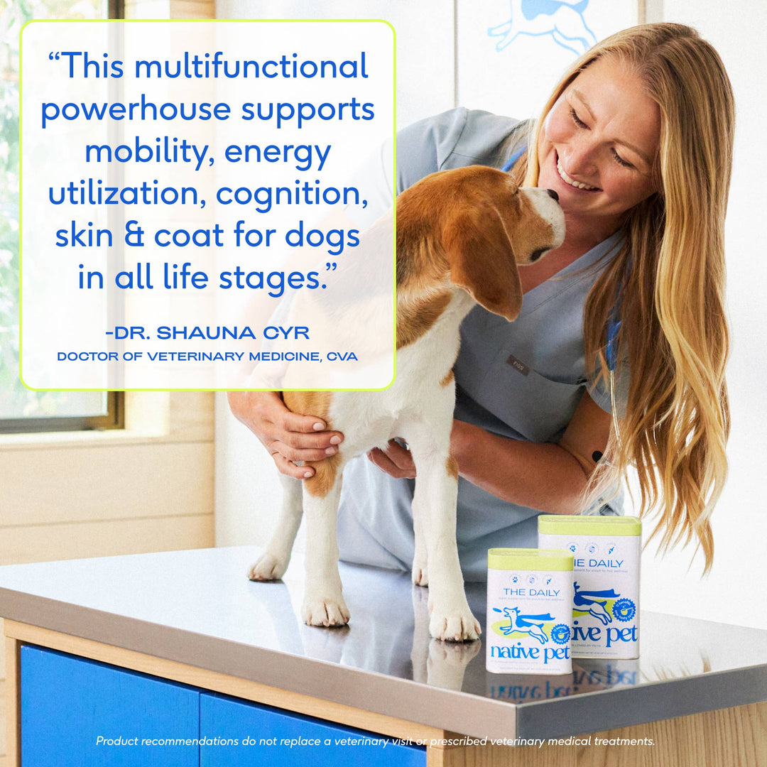 The Daily Powder Supplement, 11-in-1 Multivitamins for Dogs