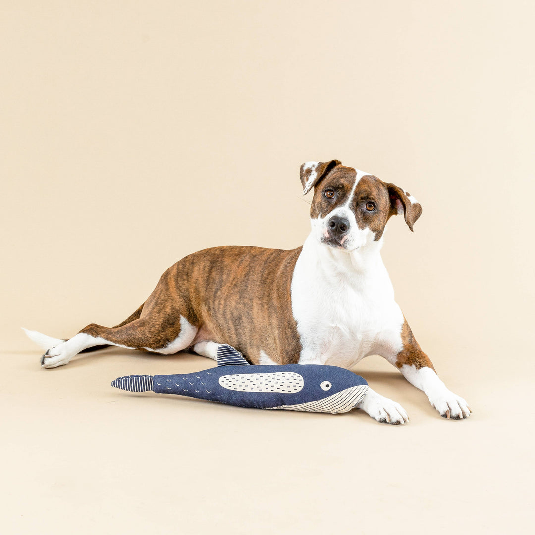THERE SHE BLOWS CANVAS DOG TOY