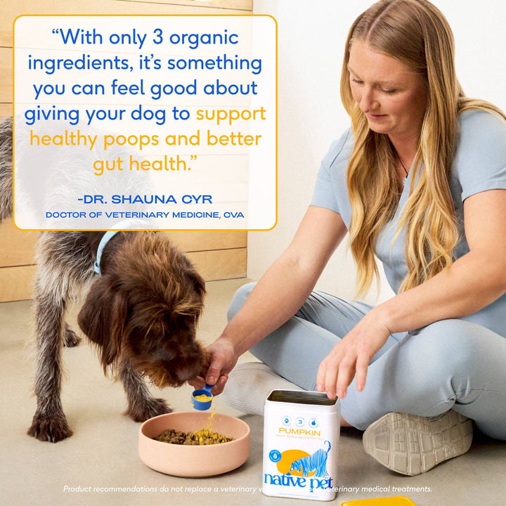 Organic Pumpkin Fiber Powder, Digestive Supplement for Dogs