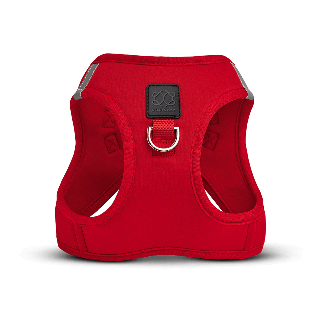 Iconic Red