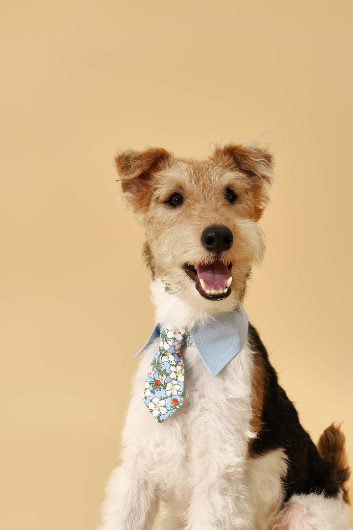 Blue Botanique Necktie Bandana