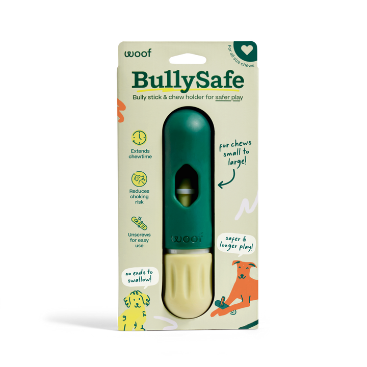 The BullySafe