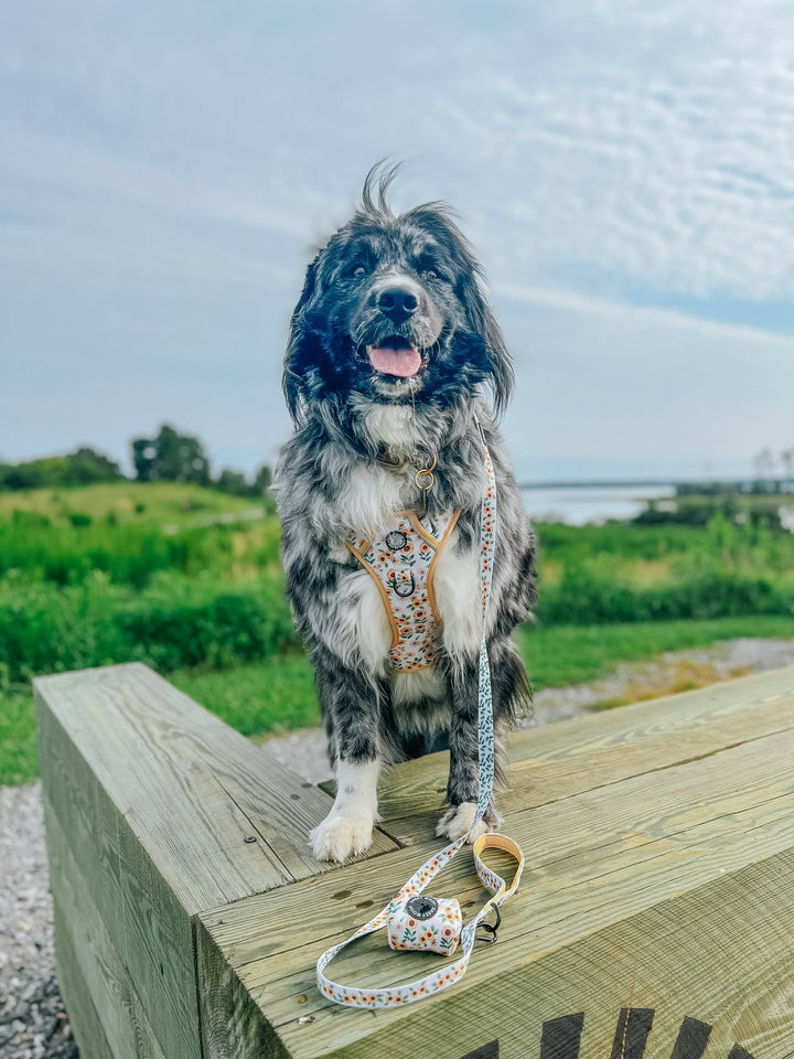 Dog Waste Bag Holder Sunflower Dreams