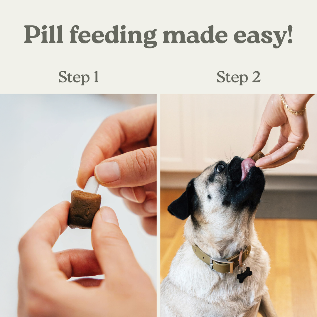 Pill Buddy Naturals Smokey Beef 30ct