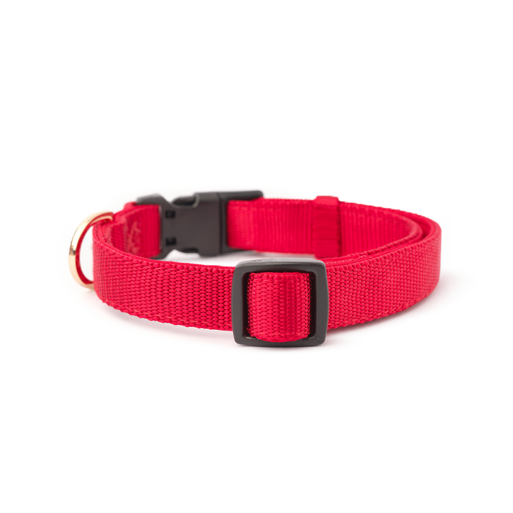 Iconic Red