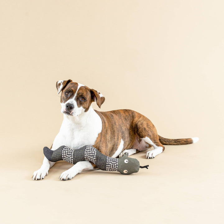 SSSSSSUP CANVAS DOG TOY