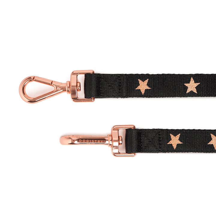 Metro Hands Free Leash - Rockstar