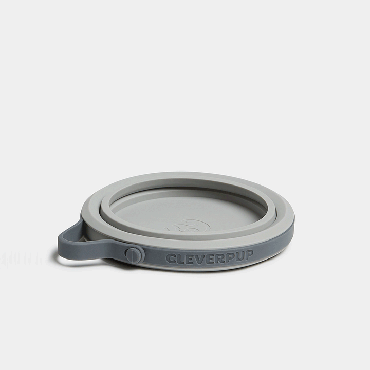 Nomad Collapsible Dog Bowl