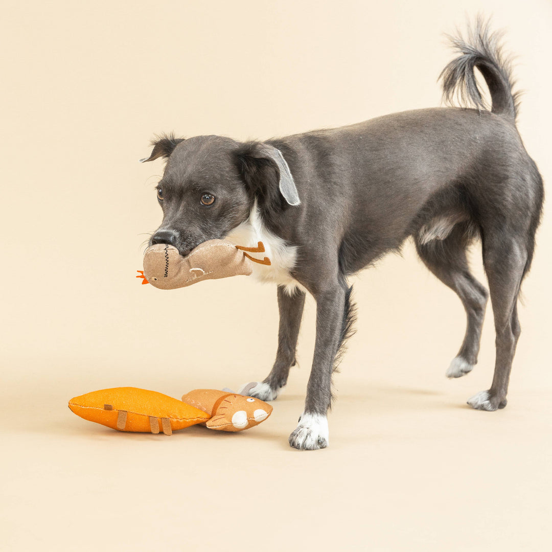 WE CAME WE SAUR CANVAS 3PC DOG TOY SET