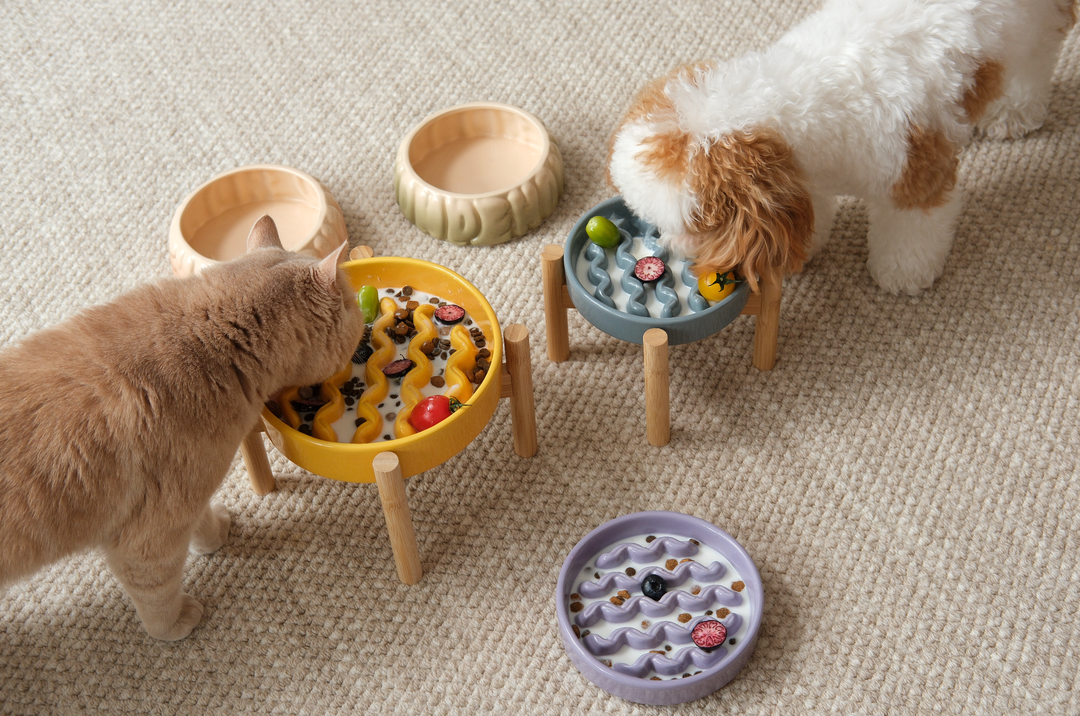 Macaroni Slow Feeder Dog Bowl