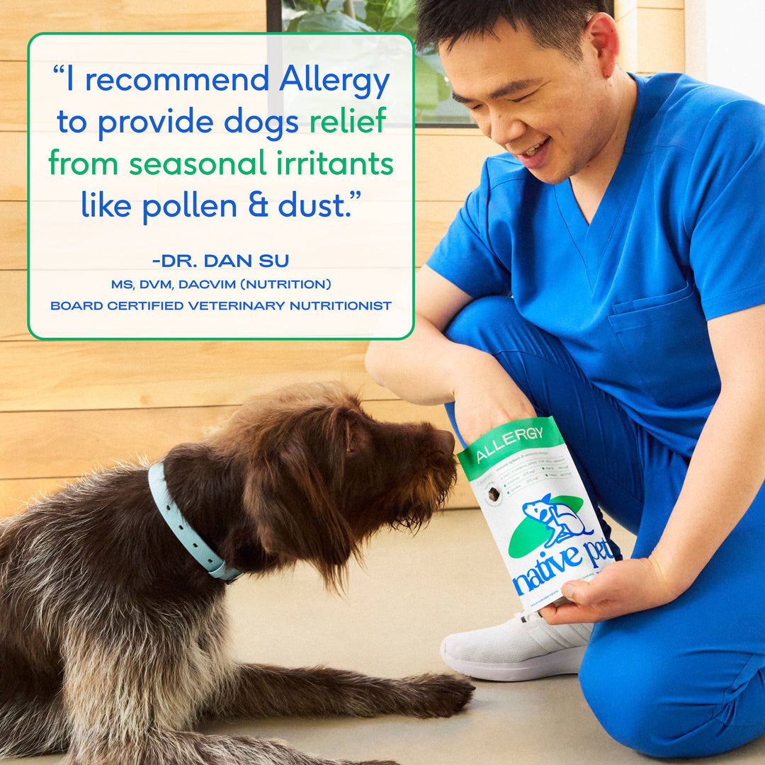 Allergy &amp; Immune Chews