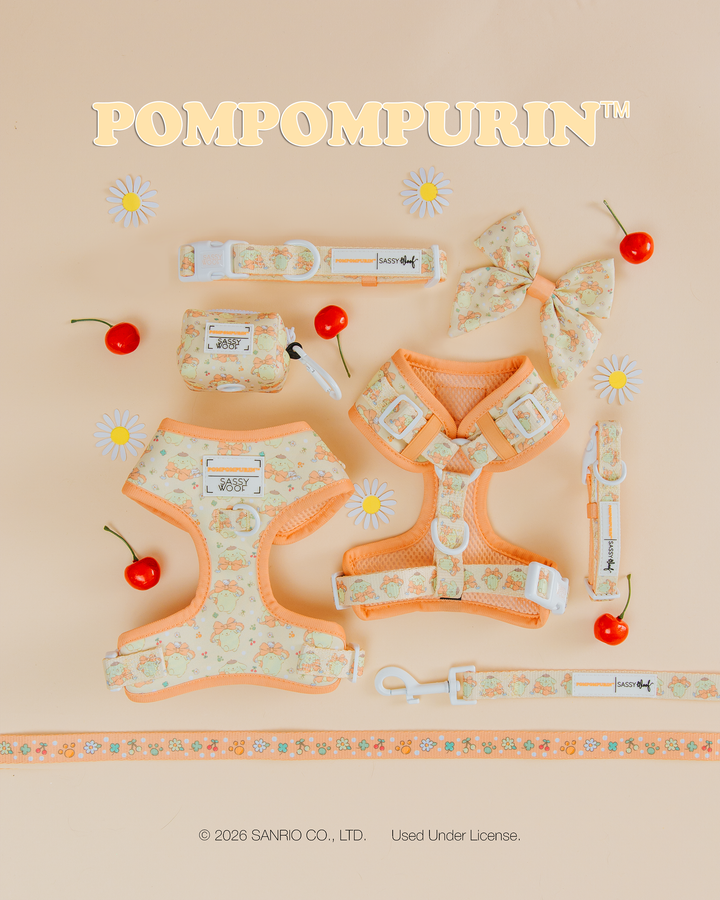 Pompompurin™ Leash
