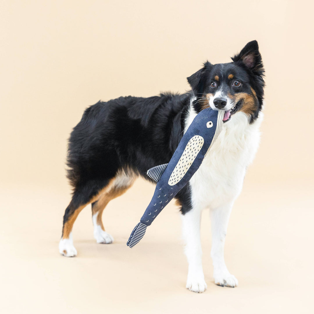 THERE SHE BLOWS CANVAS DOG TOY