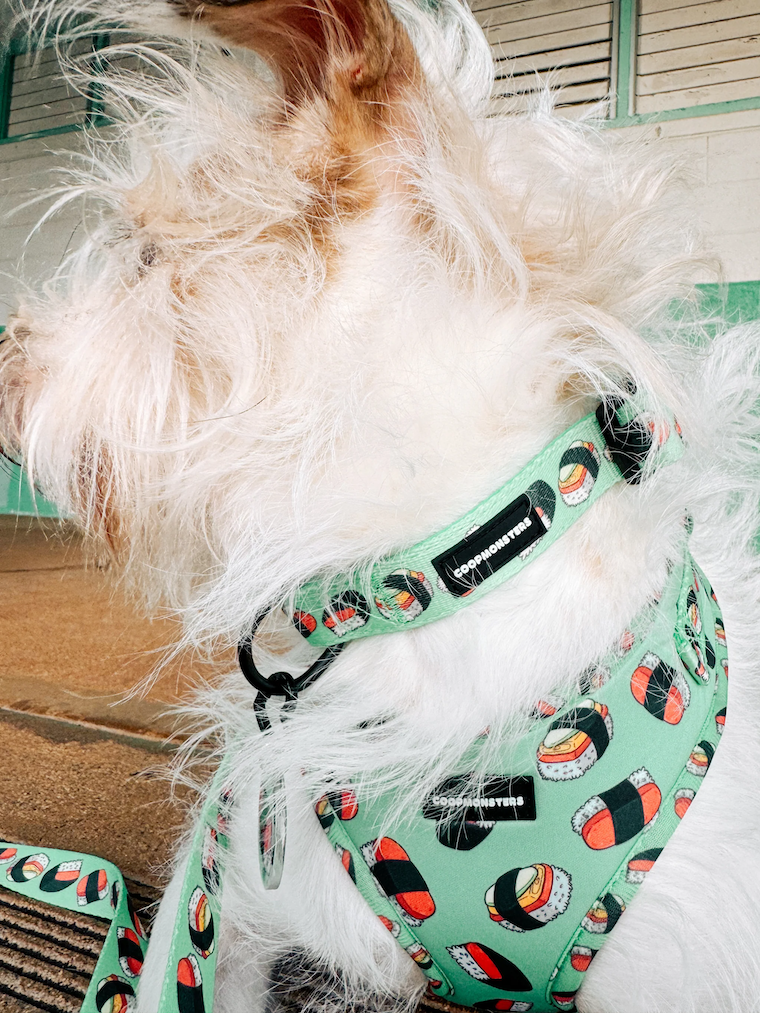 Collar - Spam Musubi
