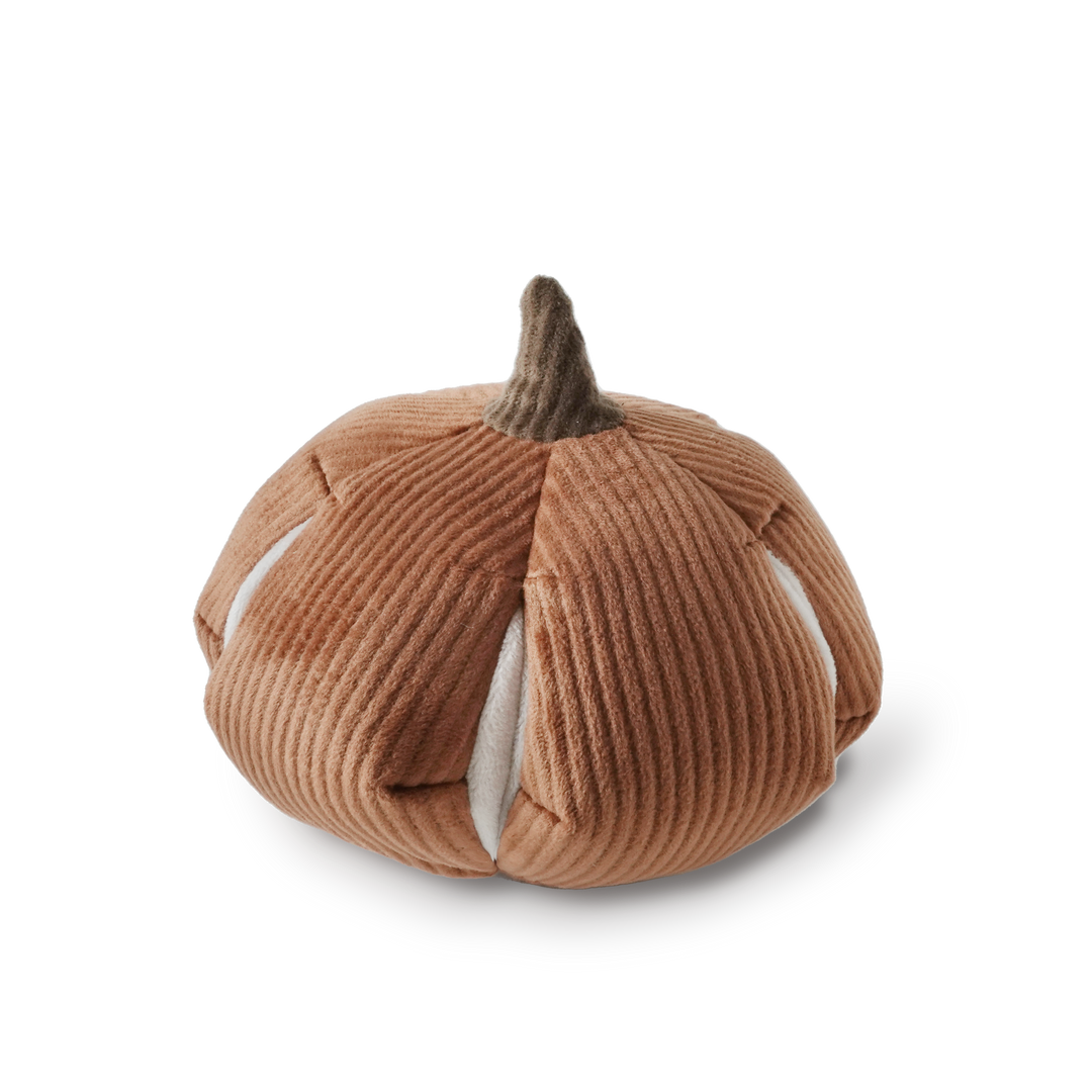 Cinderella Pumpkin Enrichment Toy