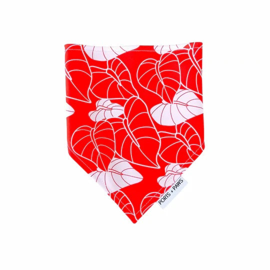 Bandana - Anthurium Red