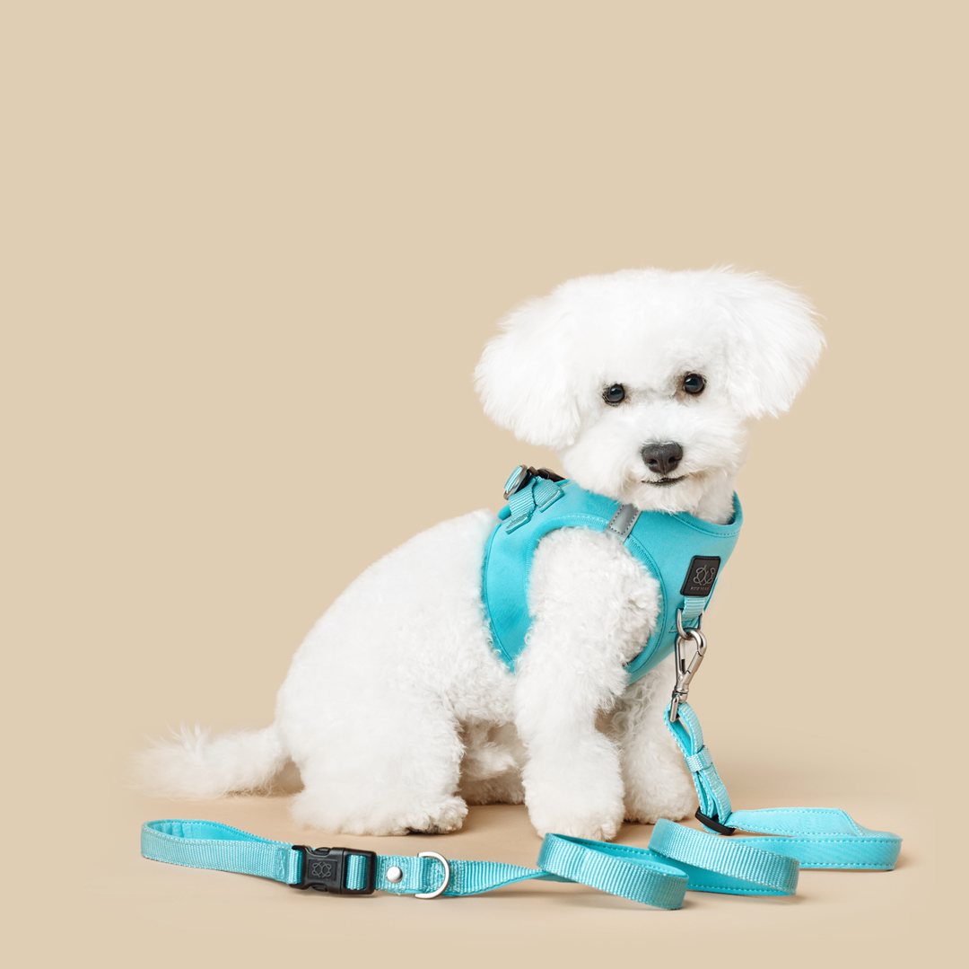 3-in-1 City Dog Leash - Fifth Avenue