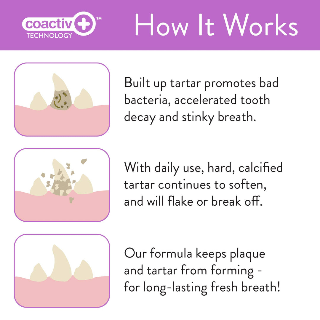 Oral Care Pet Dental Wipes 50ct