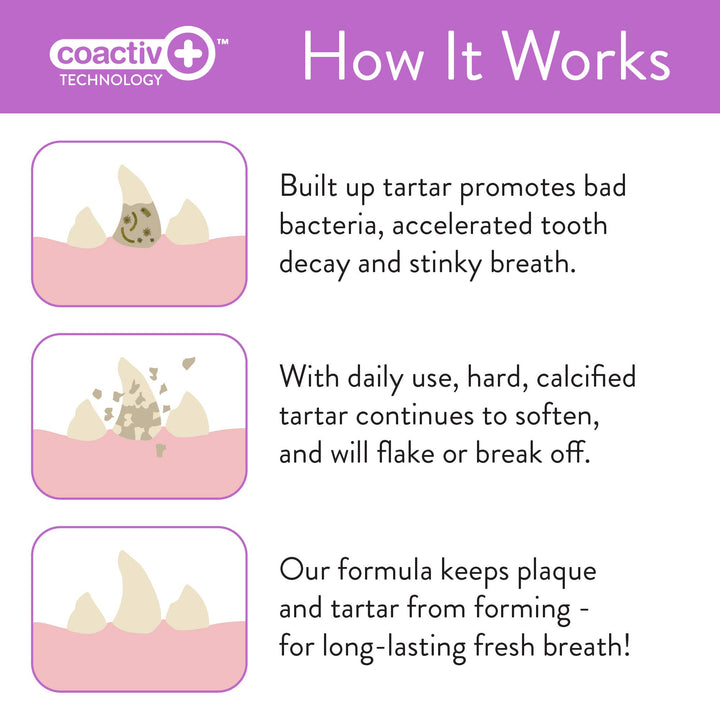 Oral Care Pet Dental Wipes 50ct