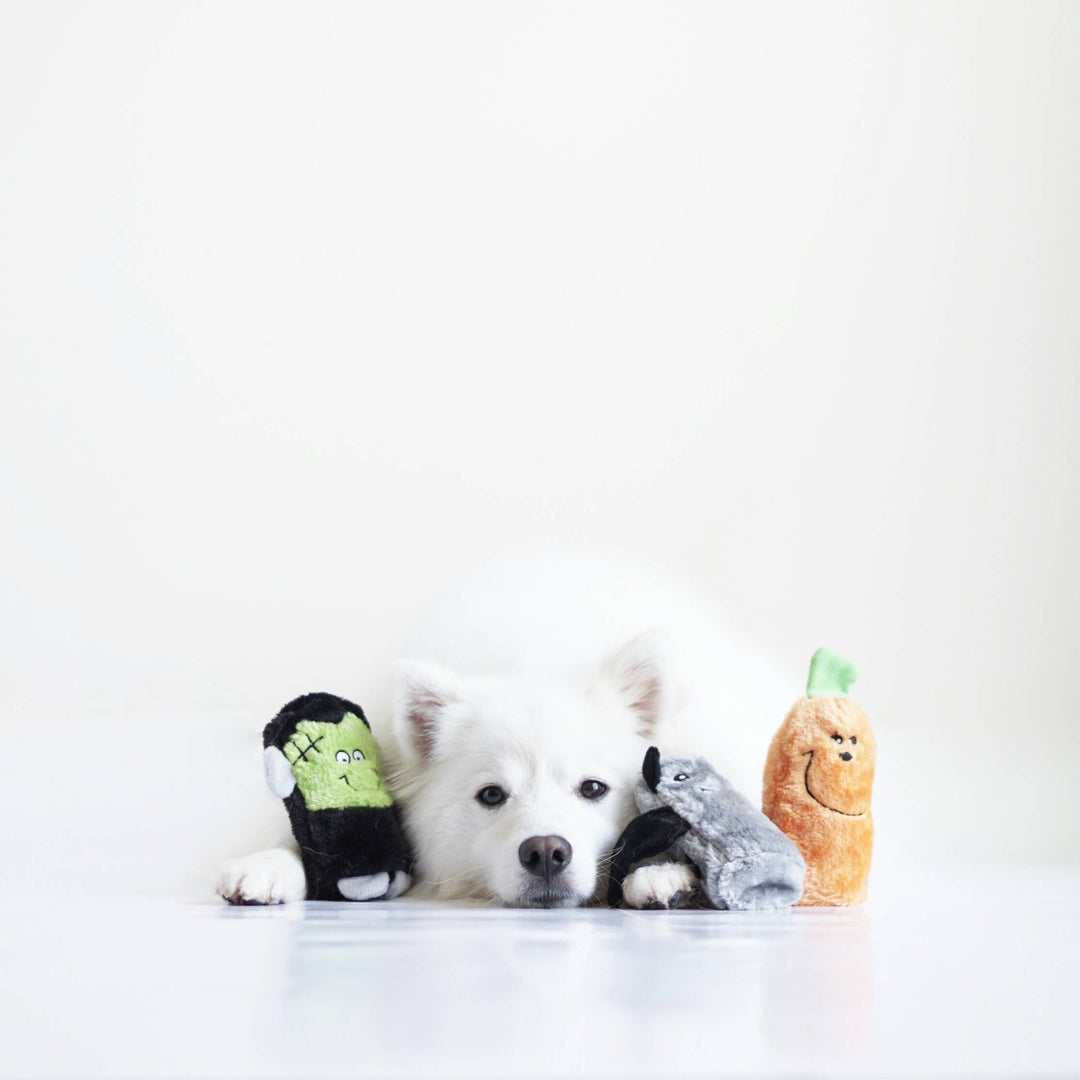 Squeakie Buddies Frankenstein, Pumpkin, Bat Dog Toy