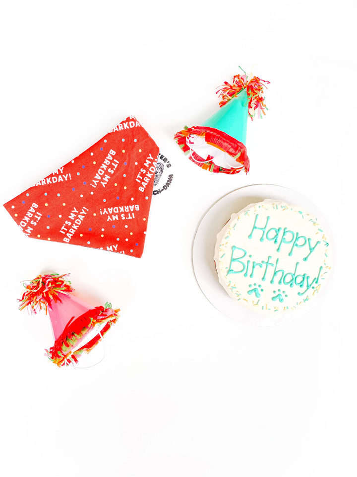 Bandana - Birthday Bandana Red