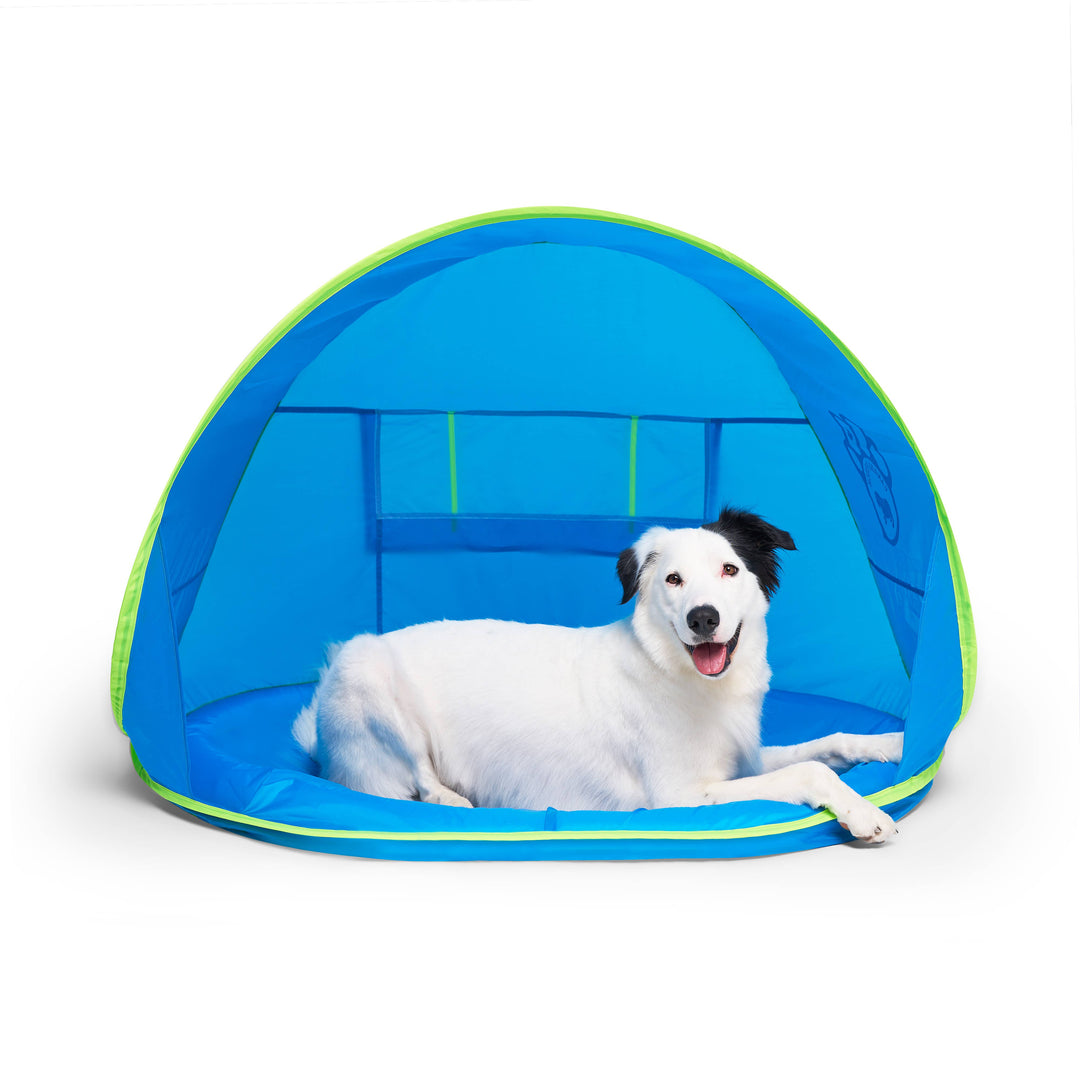 Chill Seeker Cooling Station  (Blue)- Dog Cooling