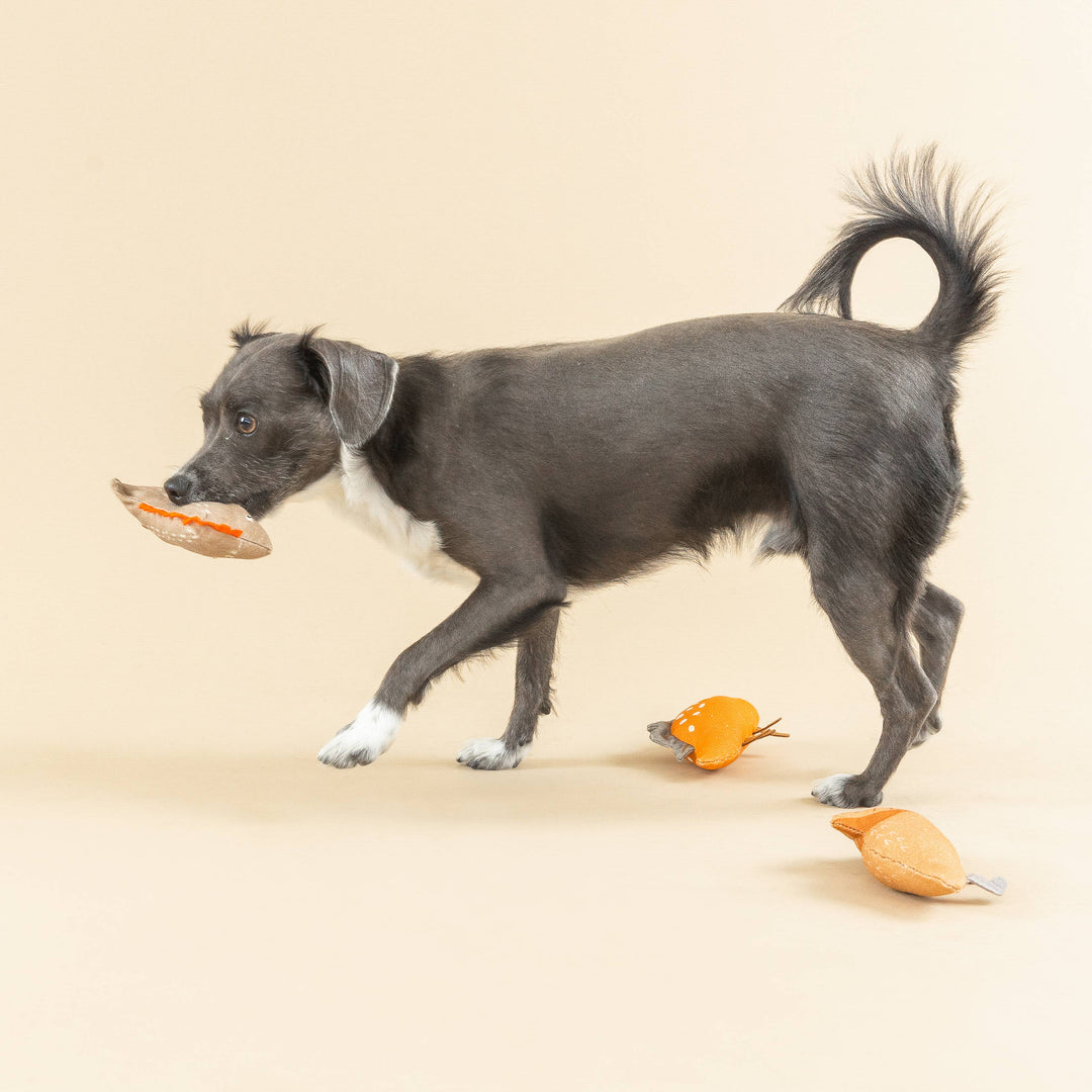 WE CAME WE SAUR CANVAS 3PC DOG TOY SET