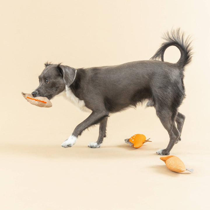 WE CAME WE SAUR CANVAS 3PC DOG TOY SET