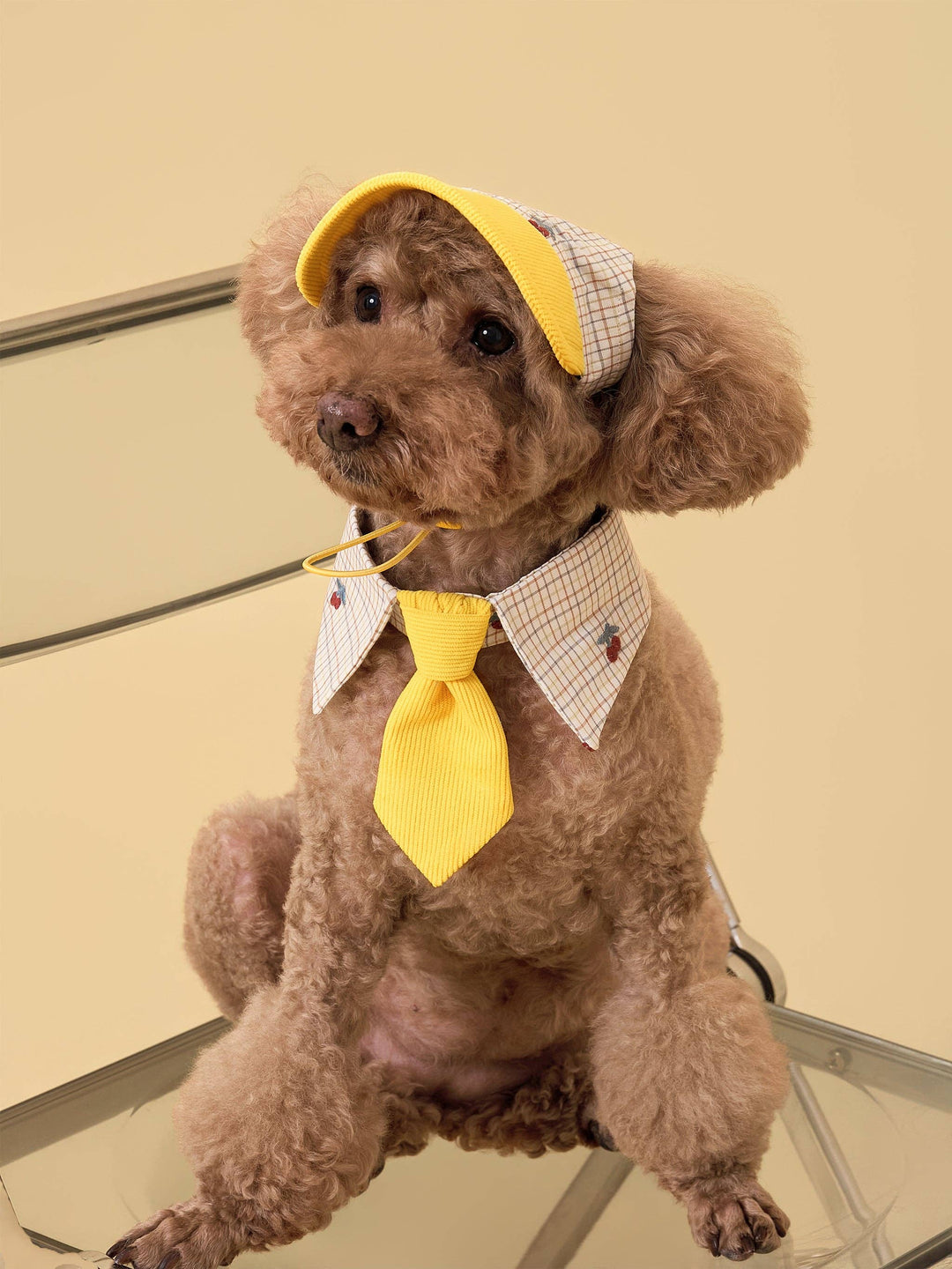 Sunny Days Yellow Checkered Dog Cap