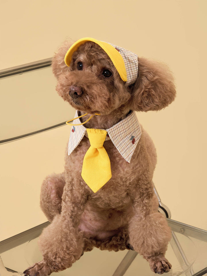Sunny Days Yellow Checkered Dog Cap