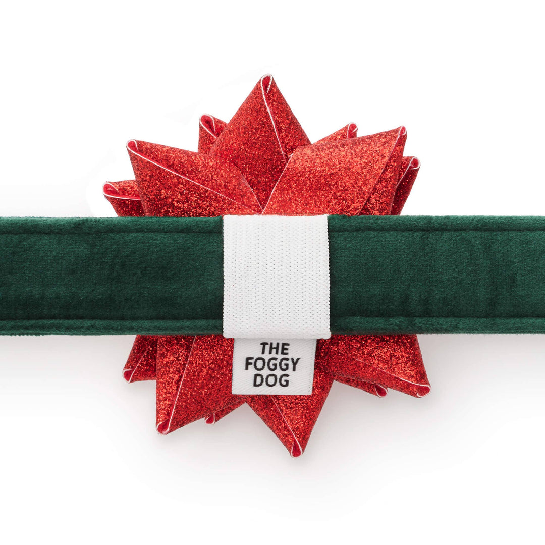 Red Gift Bow Dog Collar