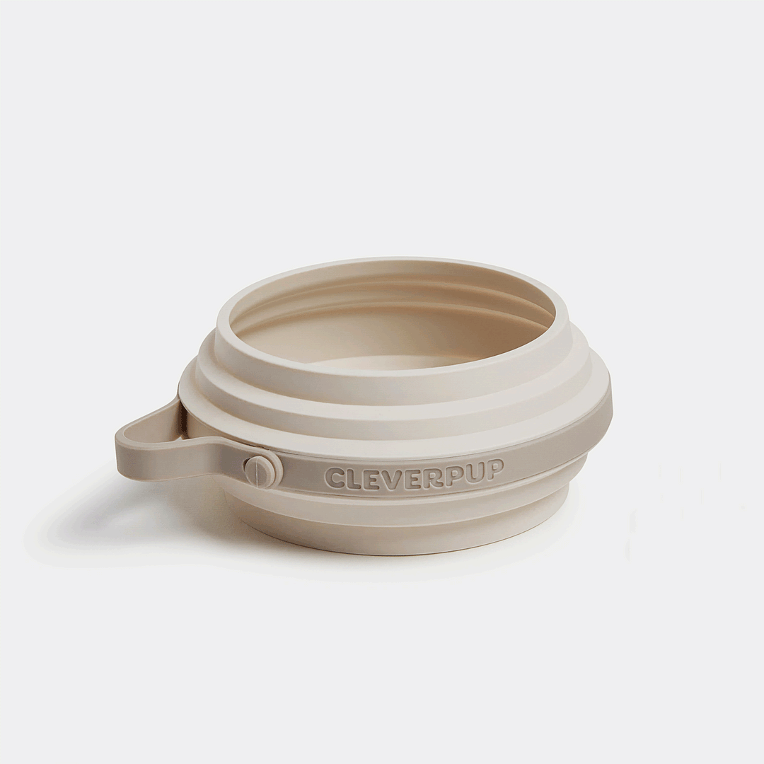 Nomad Collapsible Dog Bowl