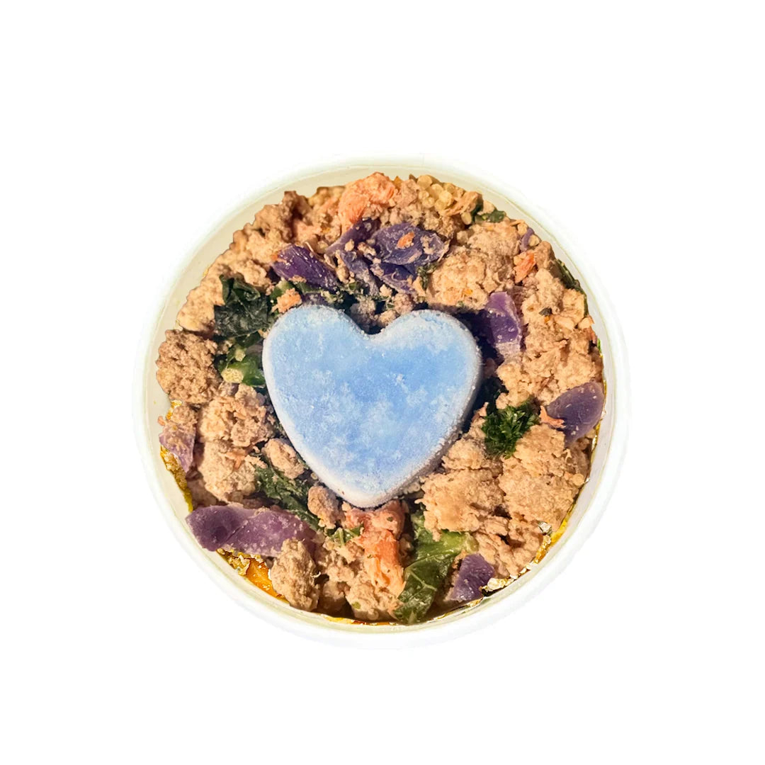We Love L.A. Bowls for Dogs - Organic Beef + Pork + Lamb + Salmon